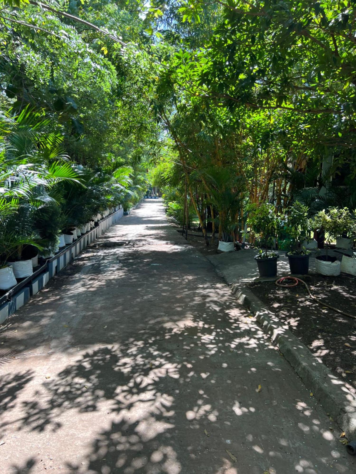 The Midway Jungle Resort Masinagudi Dış mekan fotoğraf